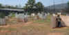 C PF 3.jpg (88586 bytes)